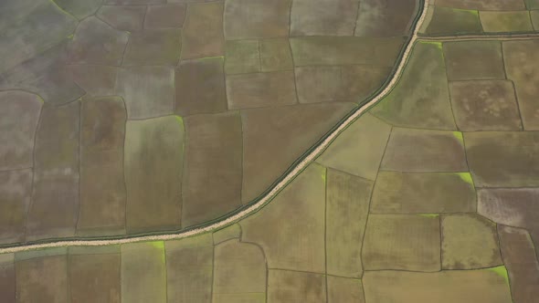 Aerial view of agricultural field in Sapahar, Rajshahi state, Bangladesh.