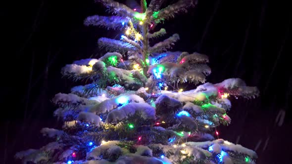 Panorama of Christmas Tree with Festive Lights at Night