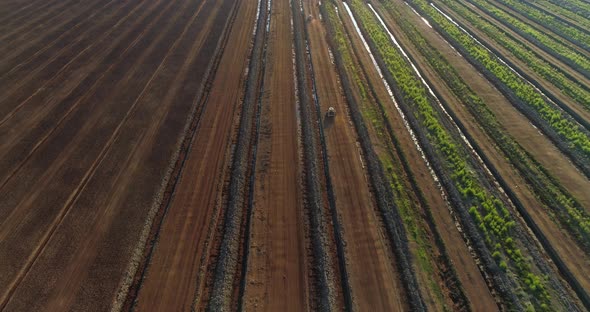 Peat Production in Harvesting Field Aerial View at Sunset