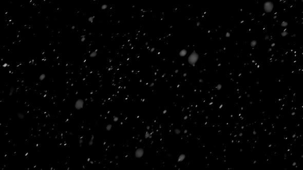 Snow Layer Background It is Snowing Slowly in Cold Winter