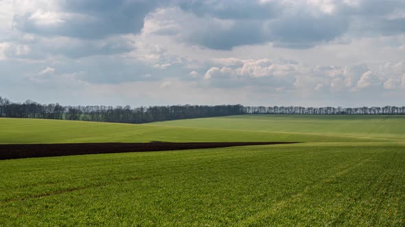 Time lapse with fast-moving clouds over a green spring field