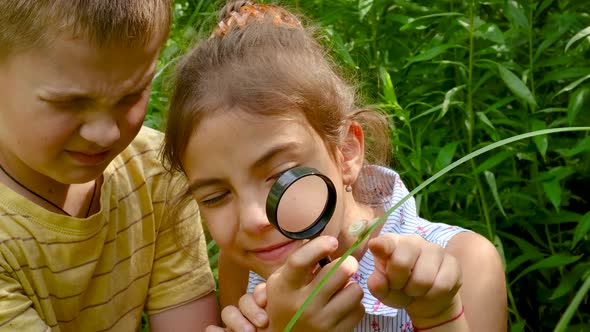 The Child Looks at the Snail Through a Magnifying Glass