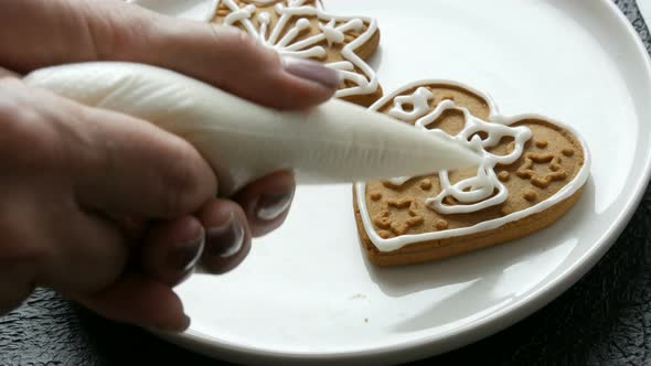 Christmas Holiday Gingerbread Cookie