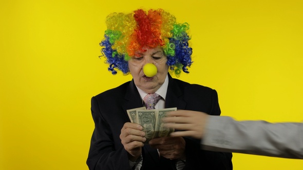 Clown Female Businesswoman Freelancer in Wig Holds Money Income and Loses It