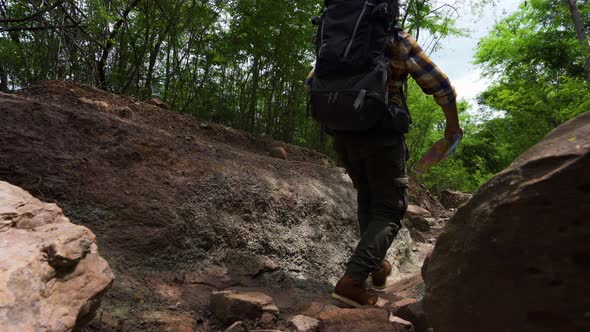 man traveler with backpack walking and looking in the natural forest