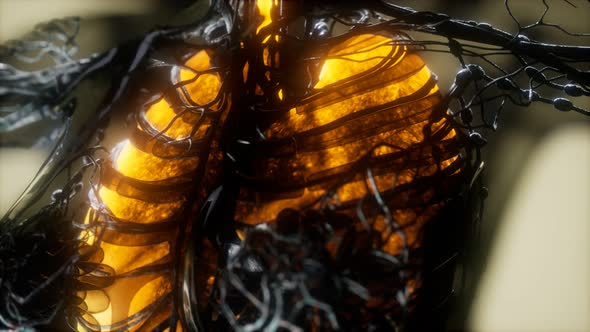 Human Body Scan with Glowing Lungs and Trachea alt