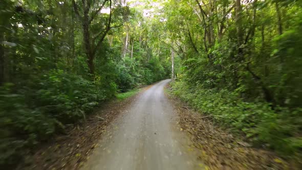 Drone view speeding on a dirt road in a tropical forest in the Osa Peninsula, Costa Rica