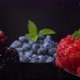 Fresh forest fruits. Blackberries, blueberries, raspberries in black bowls on a black background - VideoHive Item for Sale