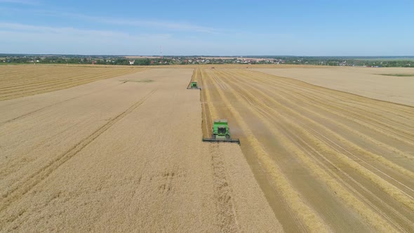 Combine Harvester on Wheat Field