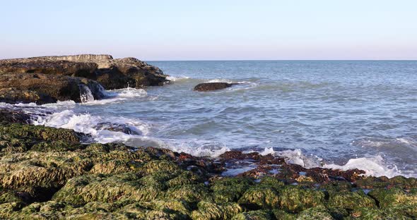 Coast of a wild beach near Baku