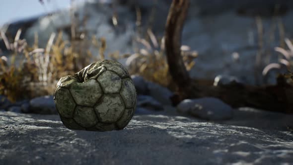 An Old Torn Soccer Ball Thrown Lies on Sand of Sea Beach alt