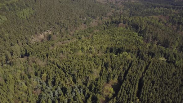 AERIAL: Flight Over German Forest with Sunshine in Fall or Winter 