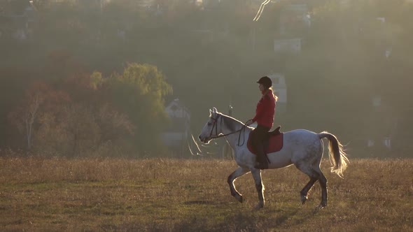 Private Sector with Houses and Rider Riding a Horse. Slow Motion