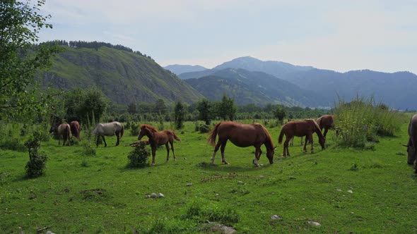 Vacation Landscape