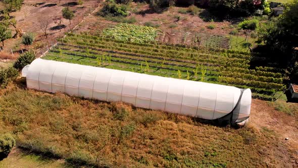 Aerial drone footage orbiting around the plastic greenhouse in the garden. Agriculture concept with