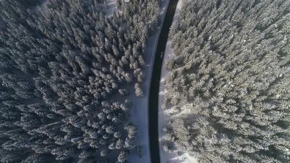 Aerial view of forest covered with snow with the car driving on the road