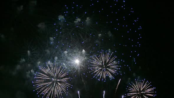 Colorful Firework display at night on sky background