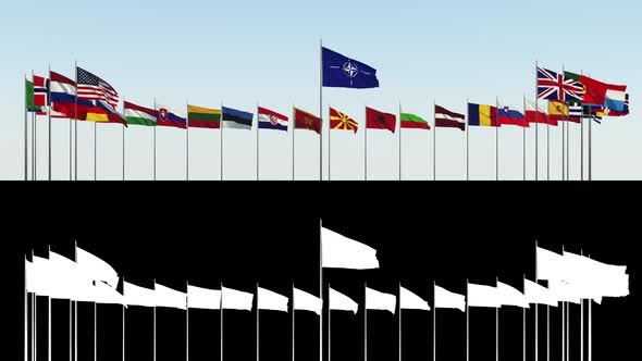 the Flags of the Member Countries of the Nato Alliance Against the Sky