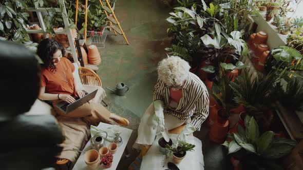 Girls Working on Laptop and Planting Flower in Shop