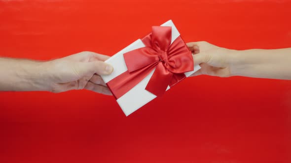 Two people fighting over present gift box.