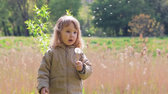 Happy Cute Light Hair Little Girl in Coat Blows on Dandelion in the Park. Slow Motion