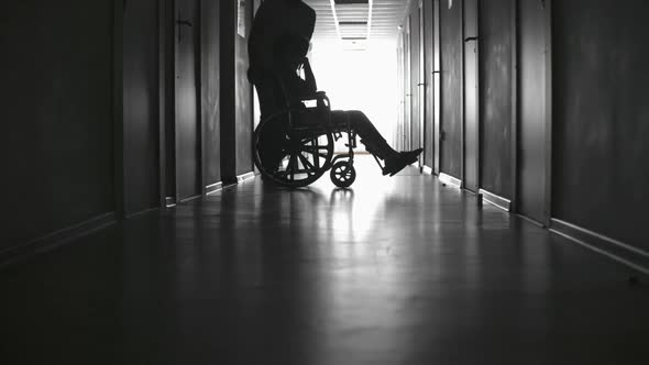 Man Pushing Wheelchair of Female Patient