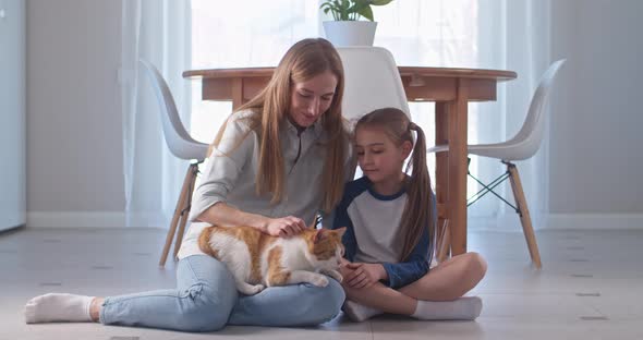 Young Mother and Little Daughter Touch Cat and Have Good Time Together