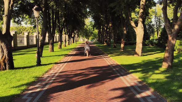 Back View of Young Mother with Baby Stroller in a Park