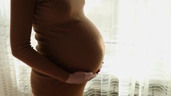 Closeup of the Pregnant Woman Standing Stroking Her Stomach