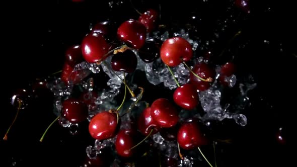 Bunch of Red Cherries Is Flying Up and Rotating with Splashes of Water