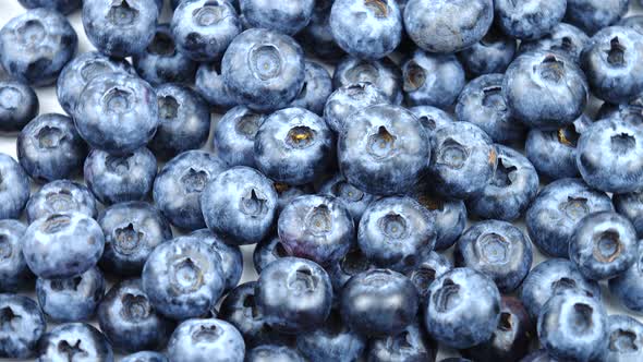 Raw ripe bog whortleberries, background