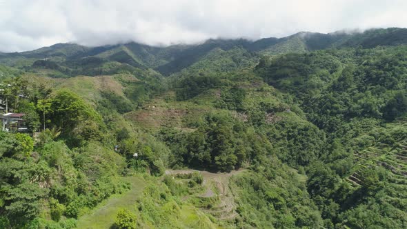 Rice Terraces in the Mountains