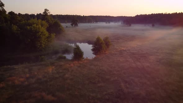 Beautiful foggy morning in the countryside