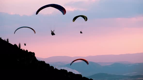 Crowd Paragliding In The Sky