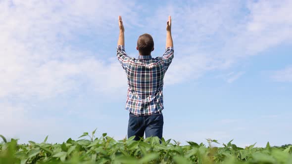 A Farmer with Raised Hands Standing in the Middle of a Soybean Field Turn to God for Help