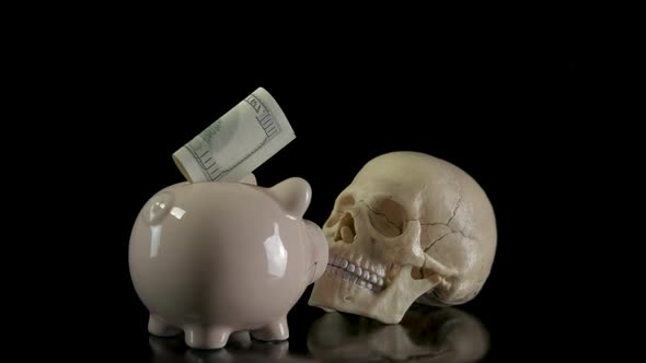 Skull with a Piggy Bank.