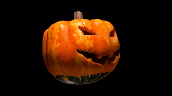 Horrible and Scary Pumpkin with Cut Out Eyes and Mouth with Teeth, for Halloween It Turns Into a