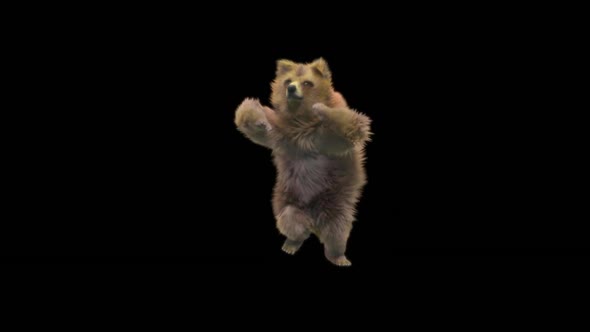 143 Bear Dancing HD
