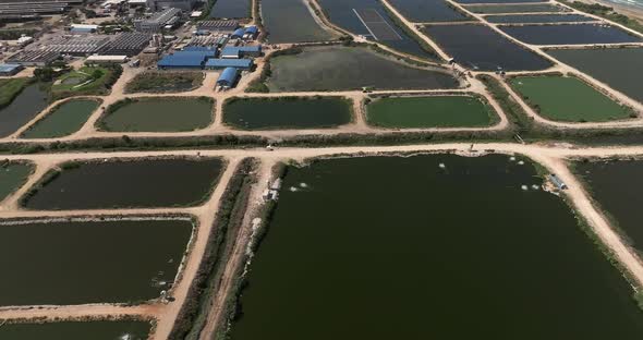 Aerial view of vast Fish farm pools.