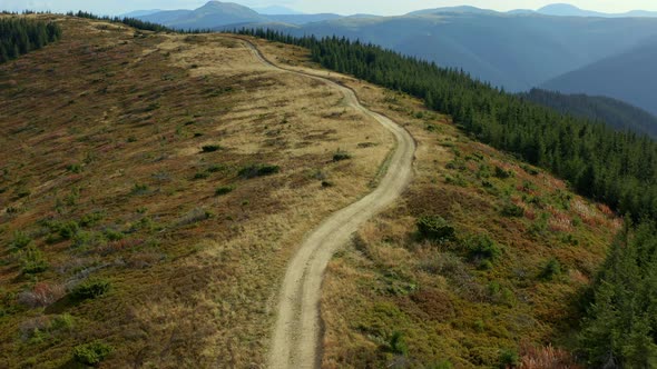 Drone Hilly Forest Path to Peak Peaceful Touristic National Park Sunny Day