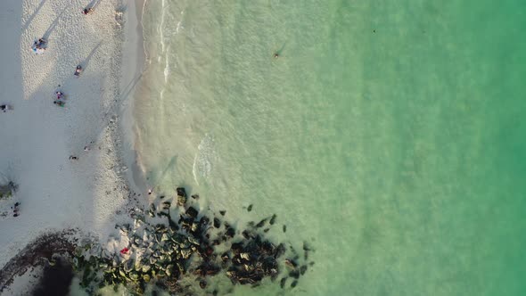 Drone Video of a Sandy Beach By the Sea