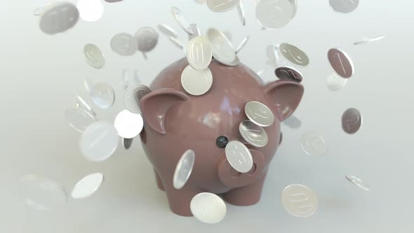 Coins Fall on Piggy Bank