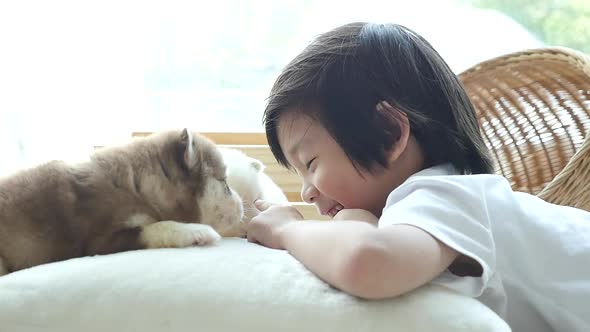 Cute Asian Child Playing With Siberian Husky Puppy