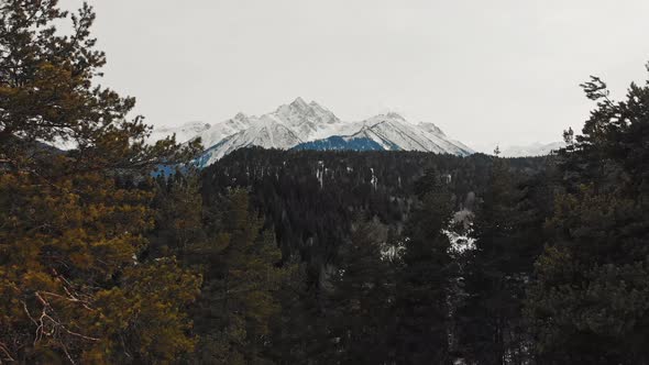 Mountain Revealed Behind Fir Tree Forest with Snow Covered White Winter Landscape