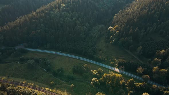 Car Moving on Road Through Pine Tree Forest Aerial View