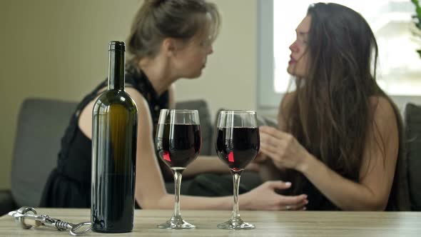 Two Girlfriends are Drinking Wine