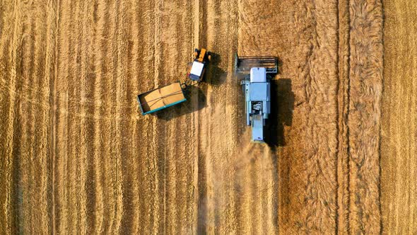 Aerial view of combine harvesting field in Poland