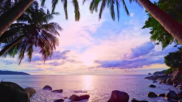 Beautiful coconut palm trees on the beach Phuket Thailand. Amazing sea beach Islands Palms leafs