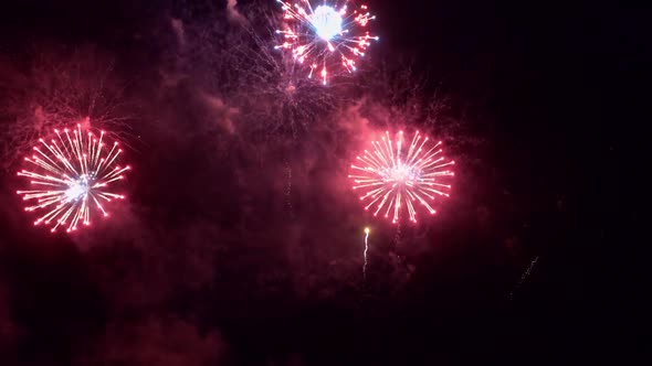 Colorful Firework display at night on sky background alt