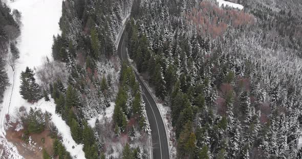 Aerial, tilt up, drone shot, of a road in middle of snowy spruce forest, on a mountain, on a cloudy,